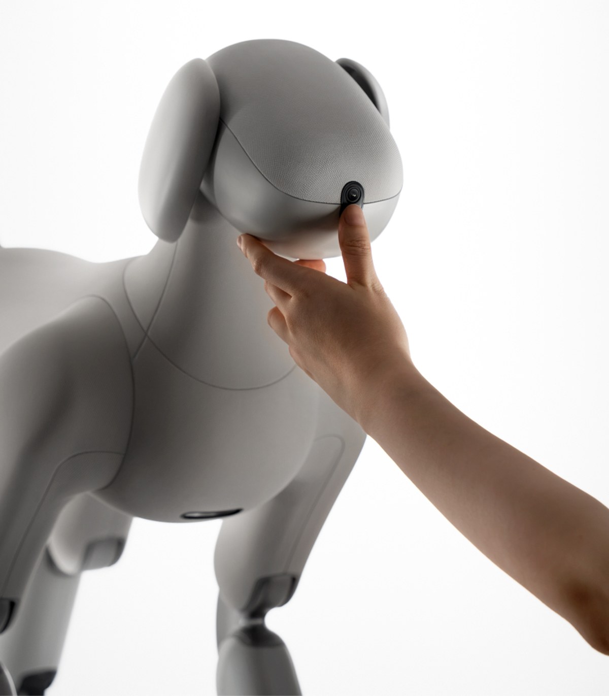 lassie robot dog pairs quadrupedal mobility with a soft removable knitted suit - 2