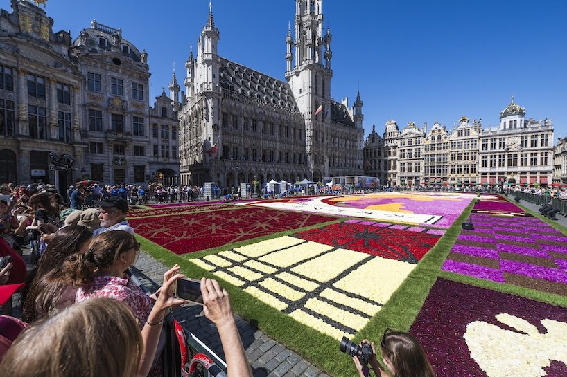 brussels rolls out hokusai’s great wave in 750,000 dahlias for flower carpet 2026 - 4