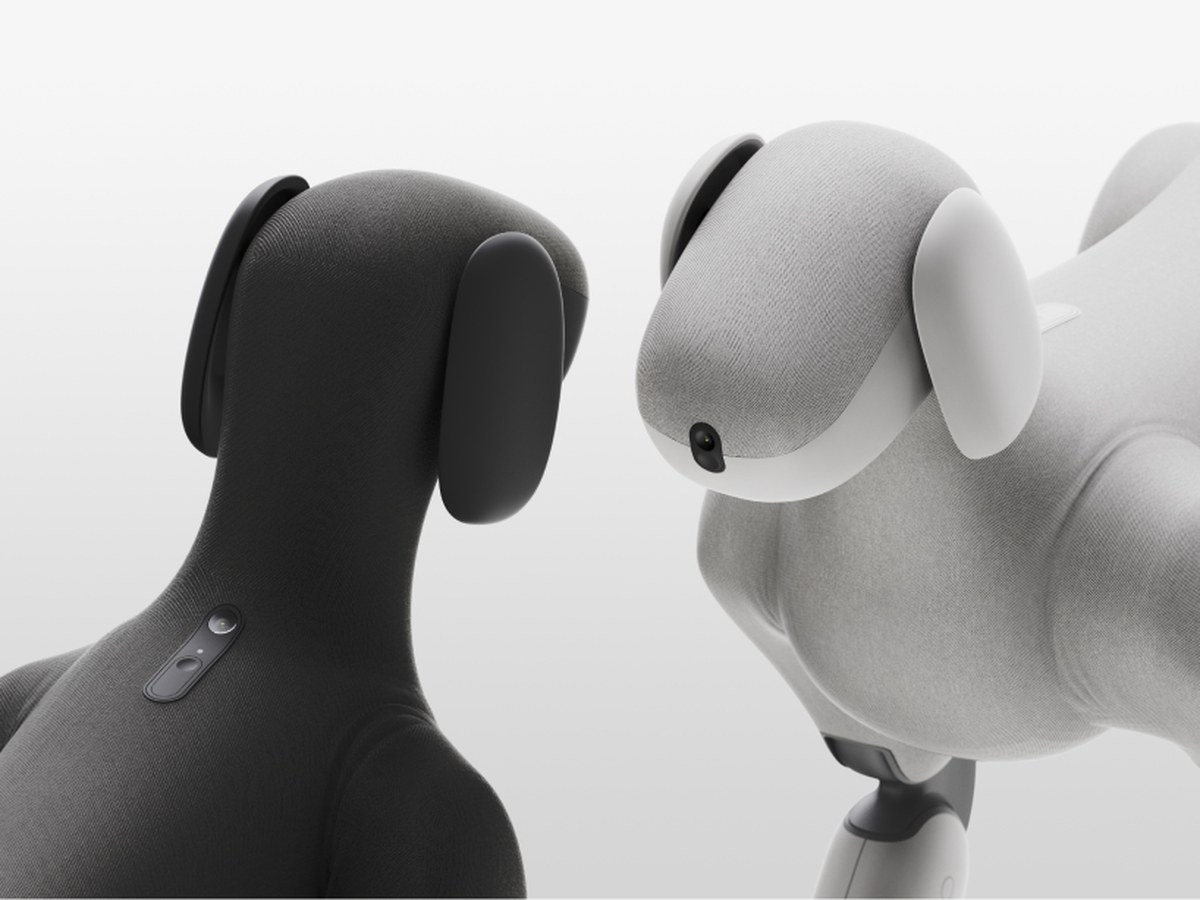 lassie robot dog pairs quadrupedal mobility with a soft removable knitted suit - 4
