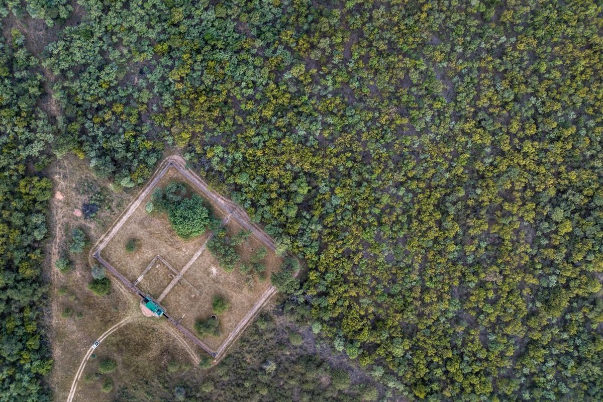 An overhead view of the wild dog enclosure at Welgevonden. The space features separate drinking and splash pools, an underground den, and a nearby mini-clinic.