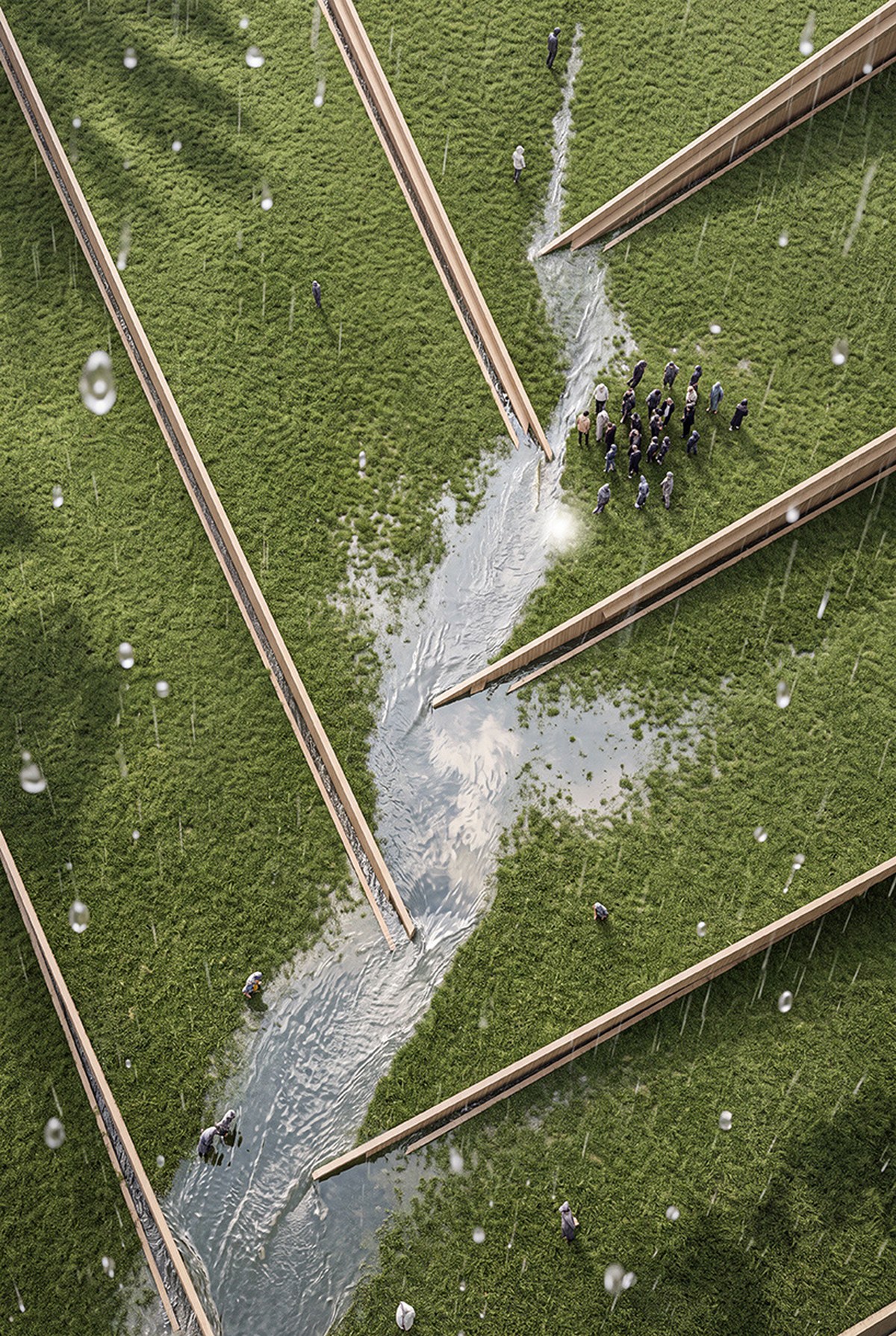 luca fontanas mass timber plank factory choreographs rainwater in vancouver 9