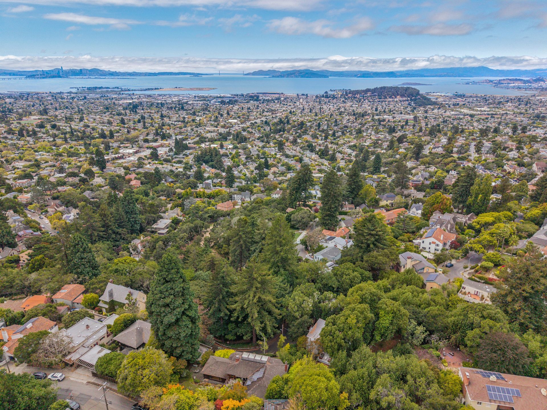 The house is located in the heart of Berkeley
