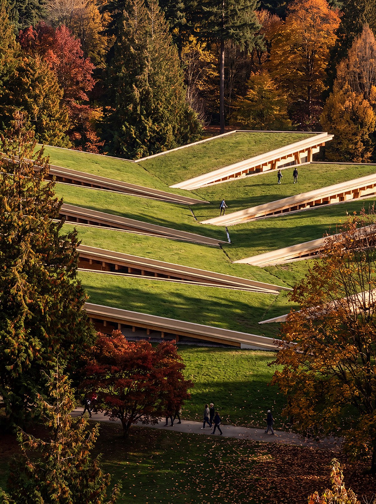 luca fontanas mass timber plank factory choreographs rainwater in vancouver 3
