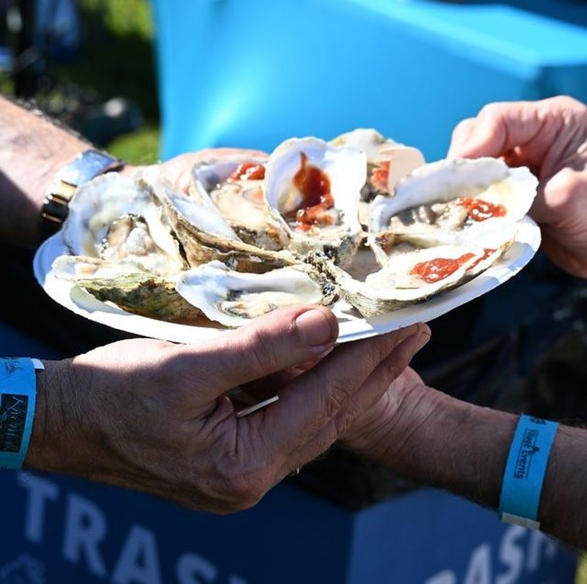 Get your fill of Chesapeake oysters.
