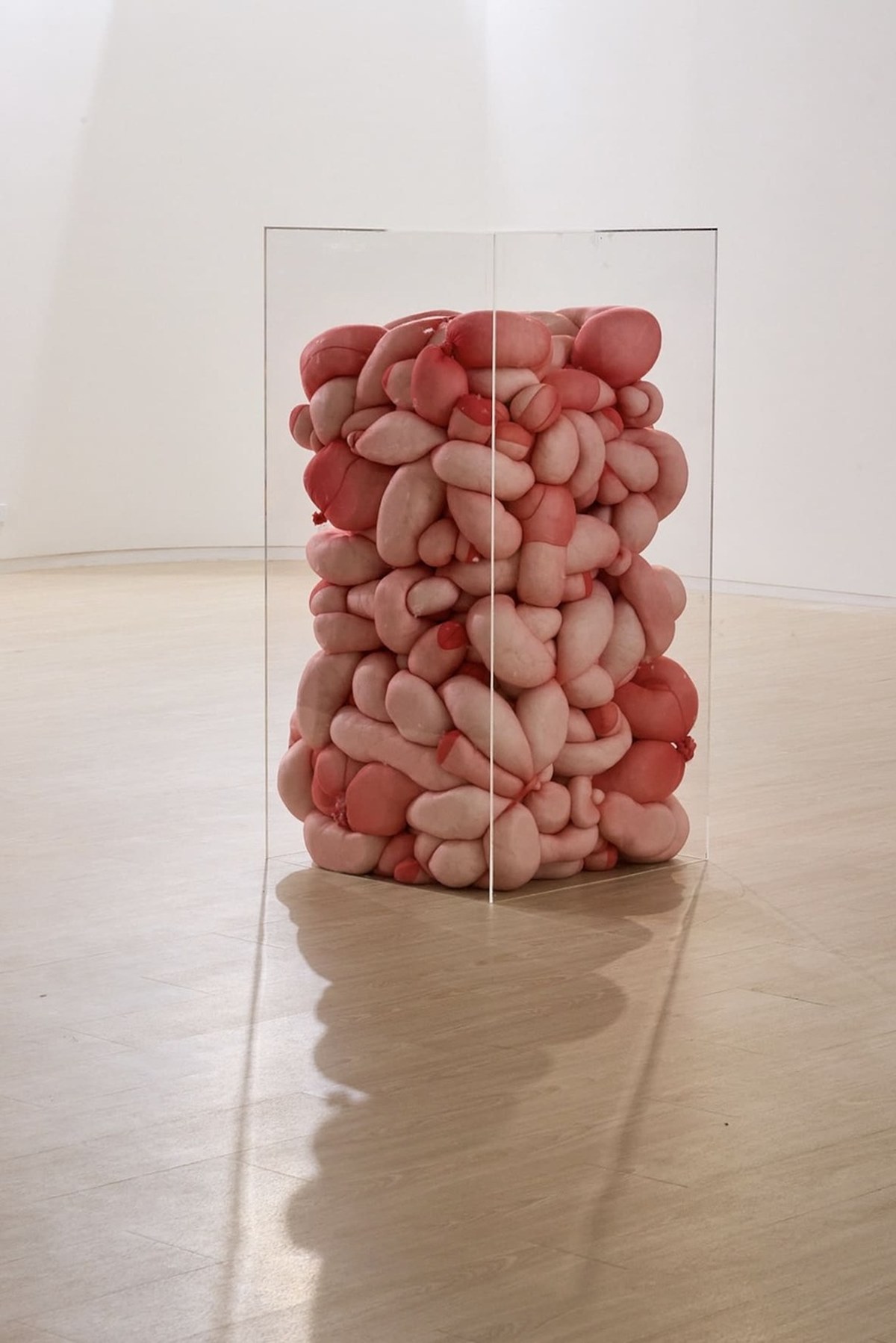 the body as structure 9