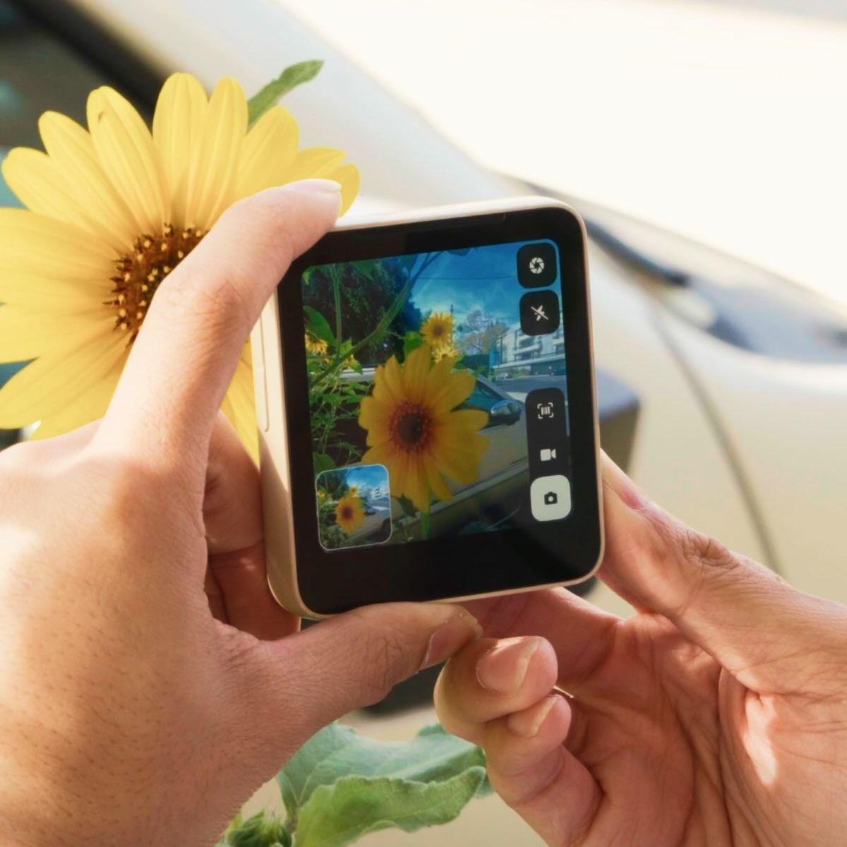 The Meadow compact smartphone