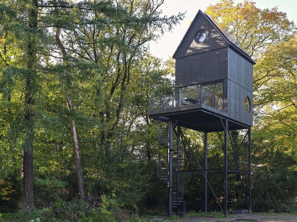 multispecies architecture wildlife