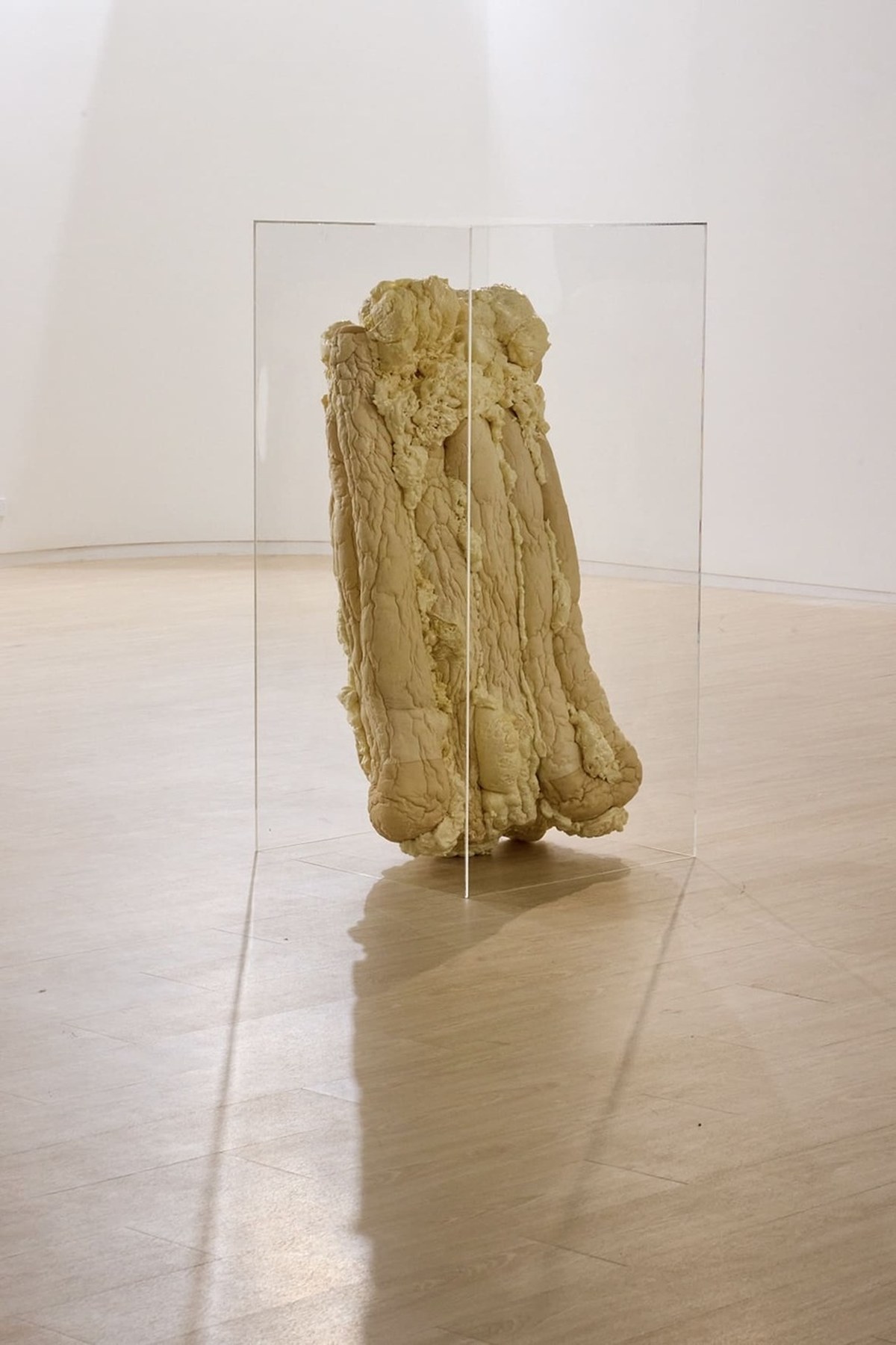 the body as structure 10
