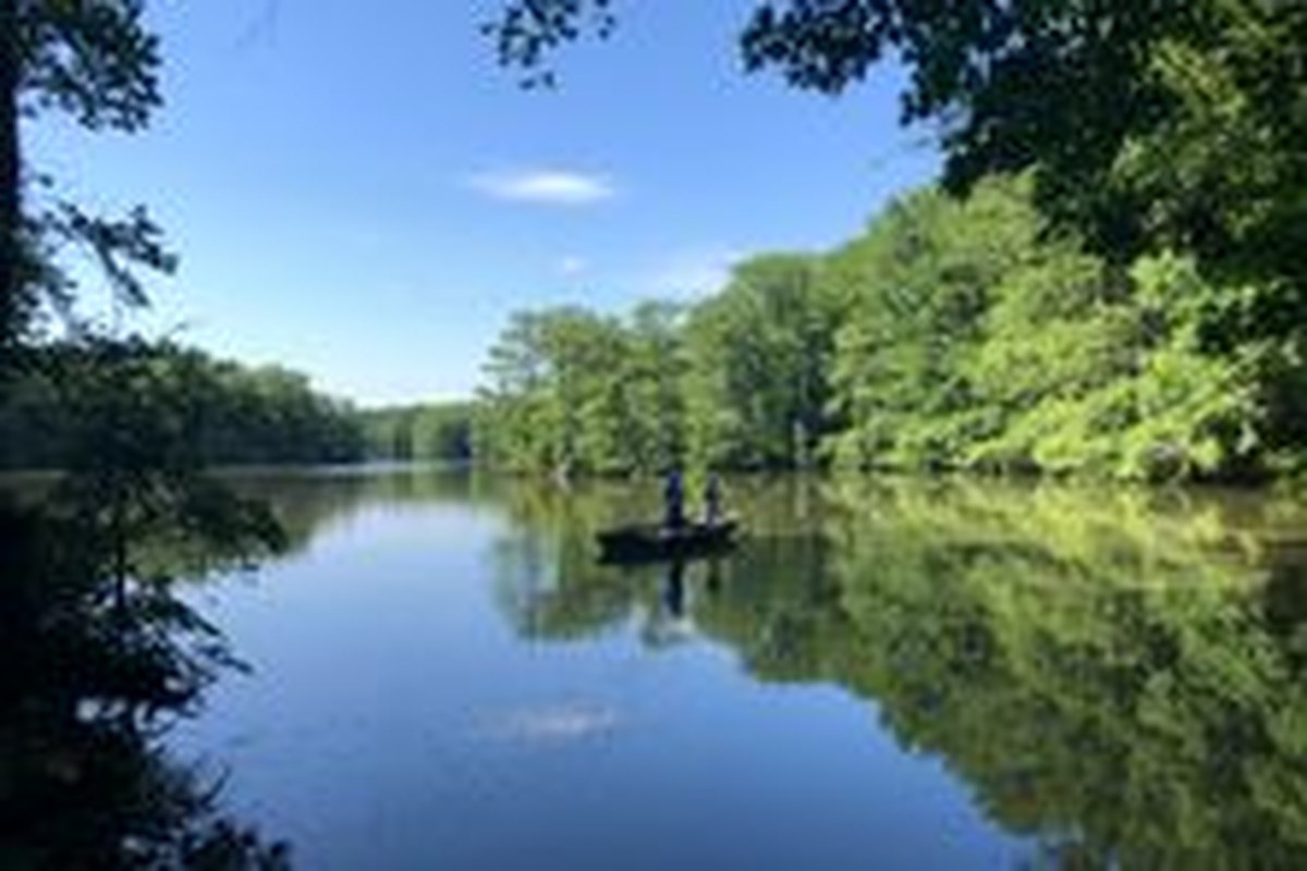 The pond.