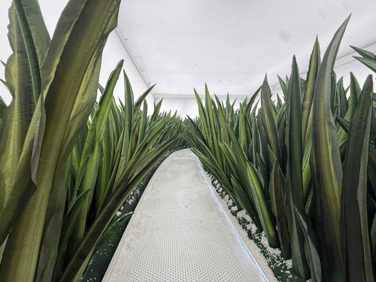 A narrow walkway flanked on both sides by tall, artificial snake-plant leaves arranged densely to form a converging, tunnel-like corridor leading toward a bright white opening ahead.