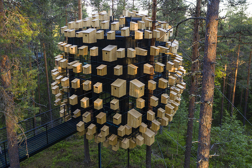 multispecies architecture wildlife