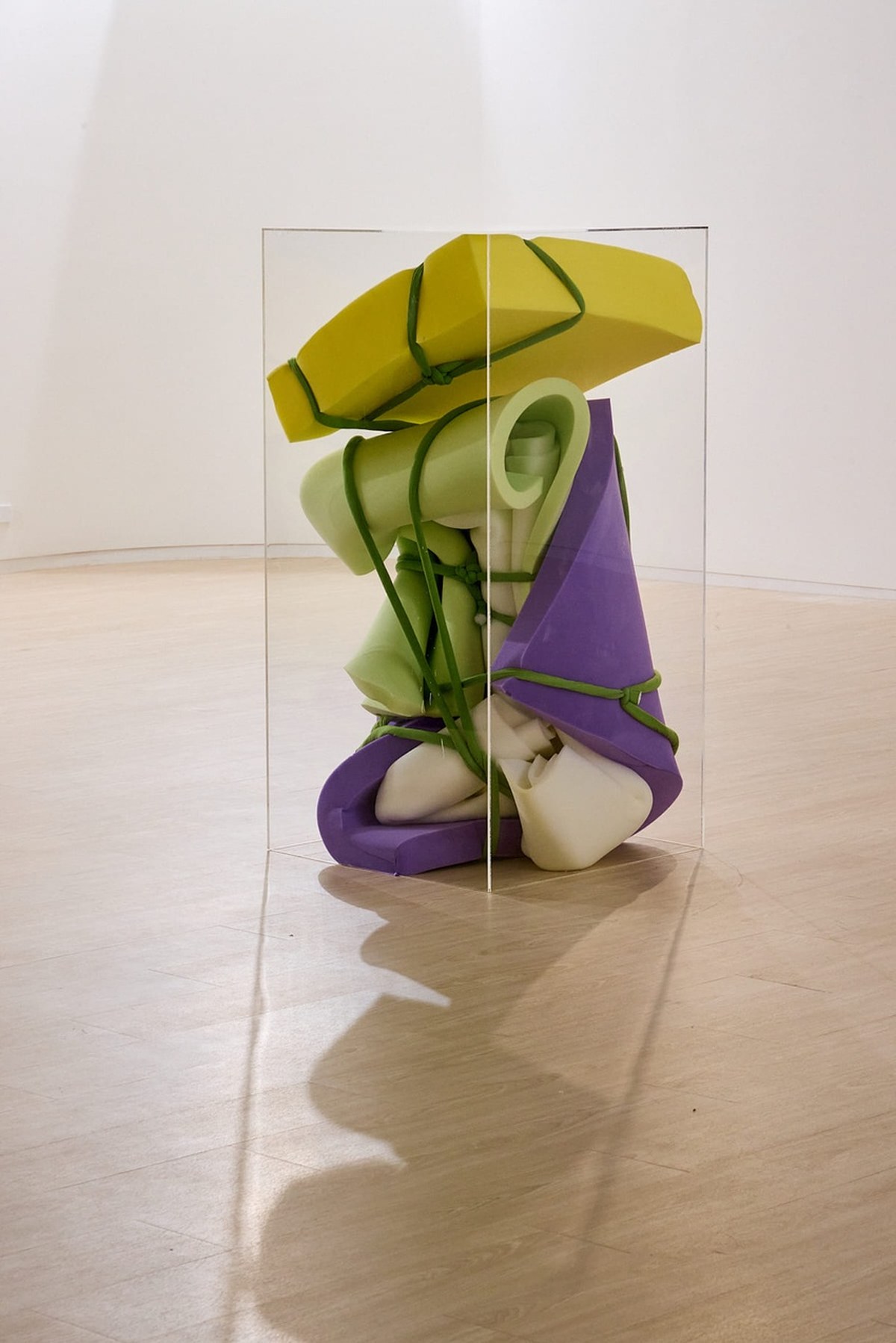 the body as structure 8