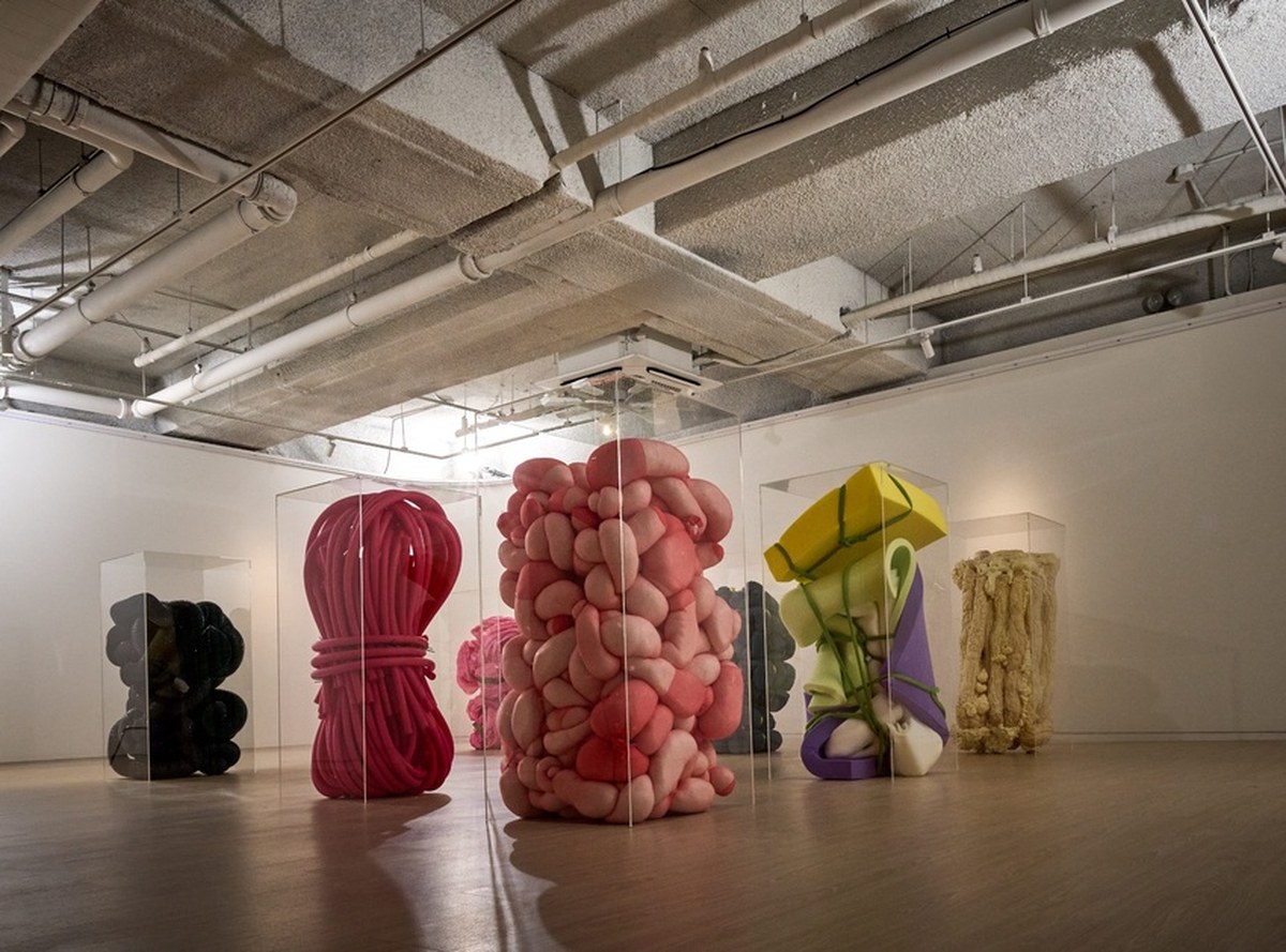 the body as structure 11