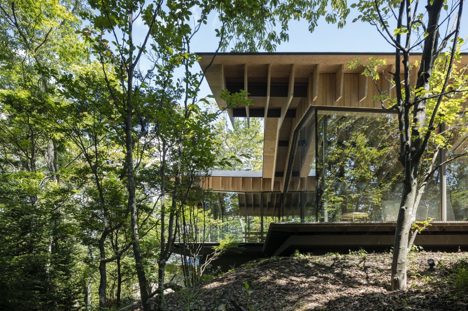 Views of Wild Bird Forest Lodge