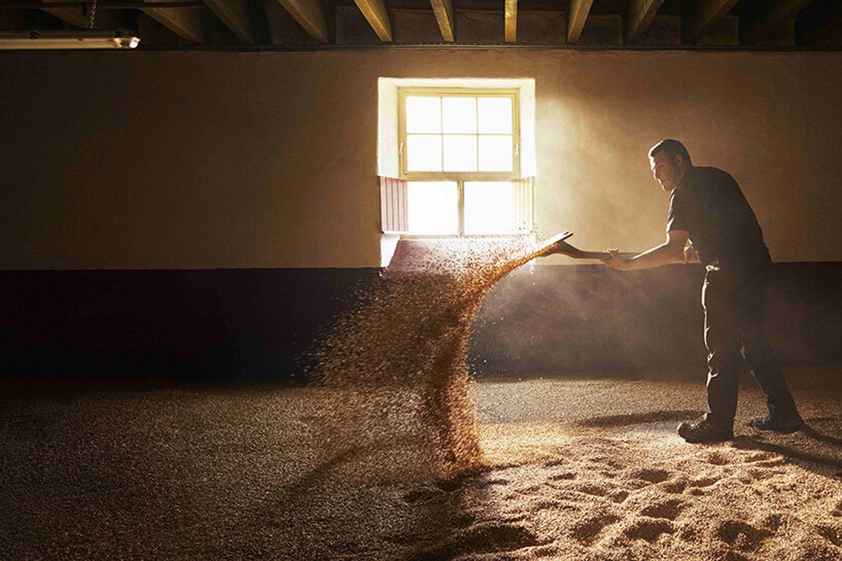 daniel arsham turns barley grains into moving sculpture for the balvenie at frieze seoul - 3