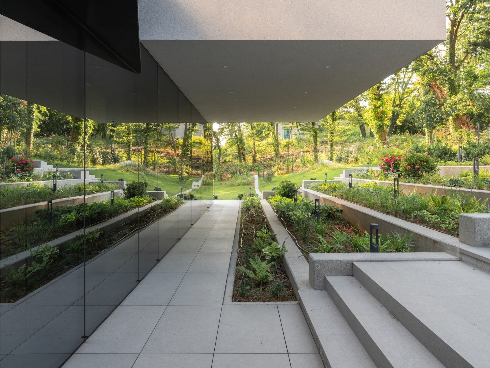 On one side the terrace faces the new planting