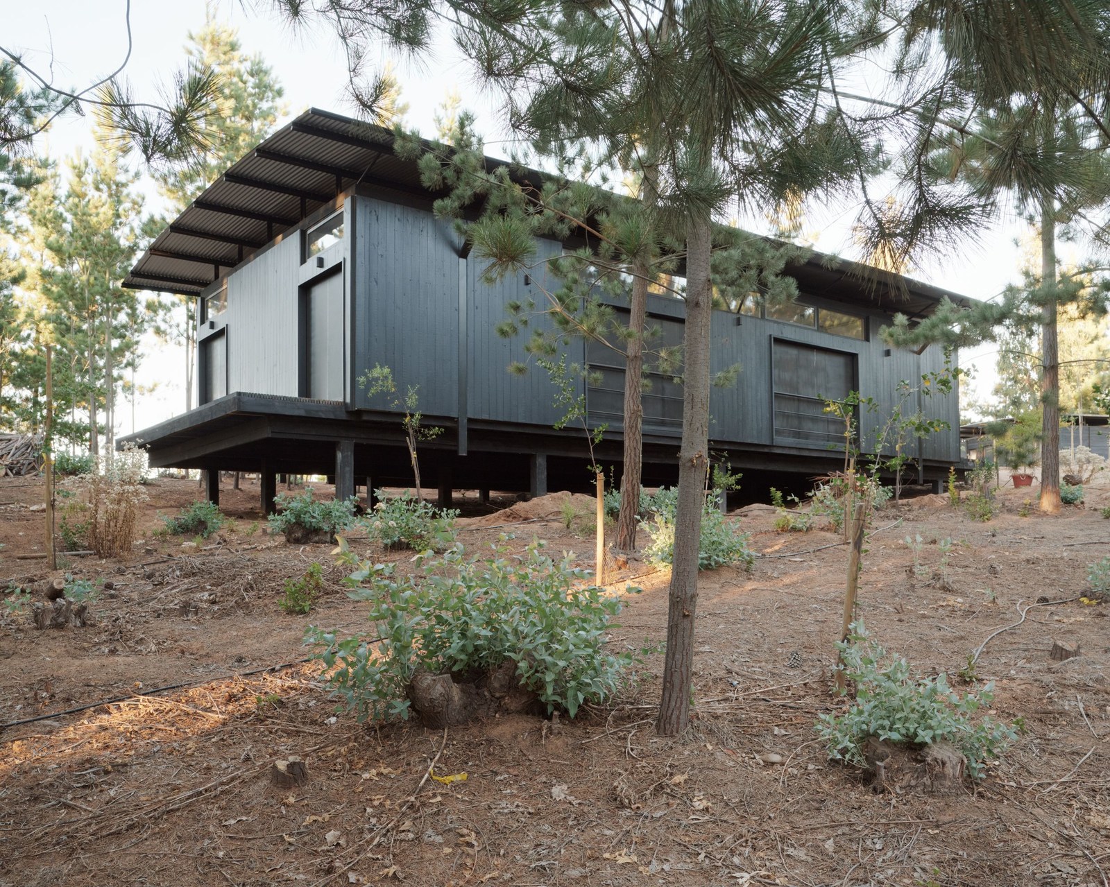Şili’li Mimarlık Ofisi, Kırsal Bölgelere Yeni Bir Soluk Getiriyor