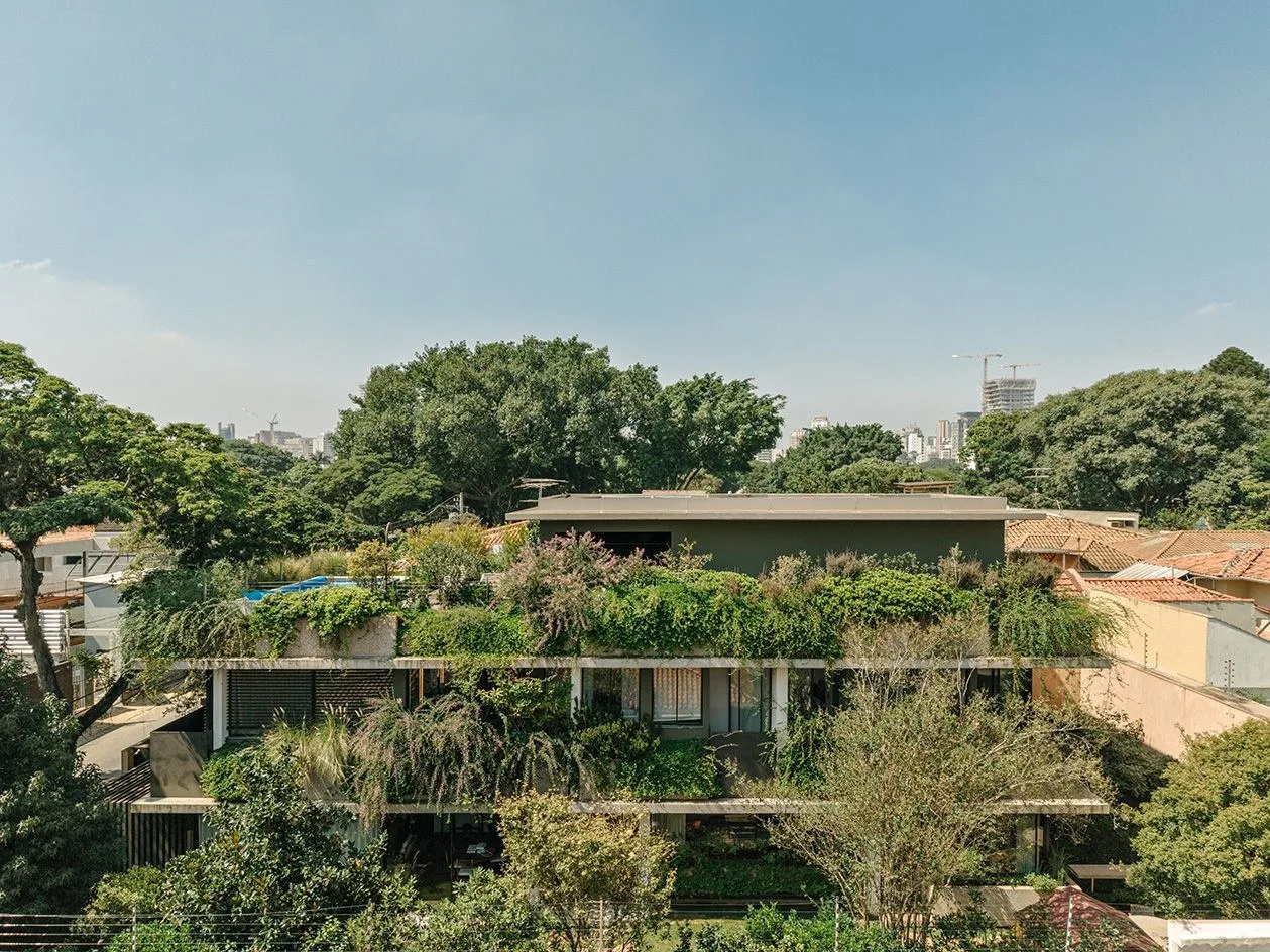 Nature takes over at this modernist-inspired, leafy São Paulo house