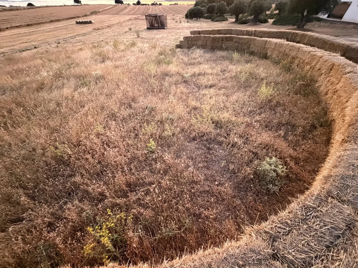 straw walls shape amphitheater, experimental garden and walking path in rural spain - 3