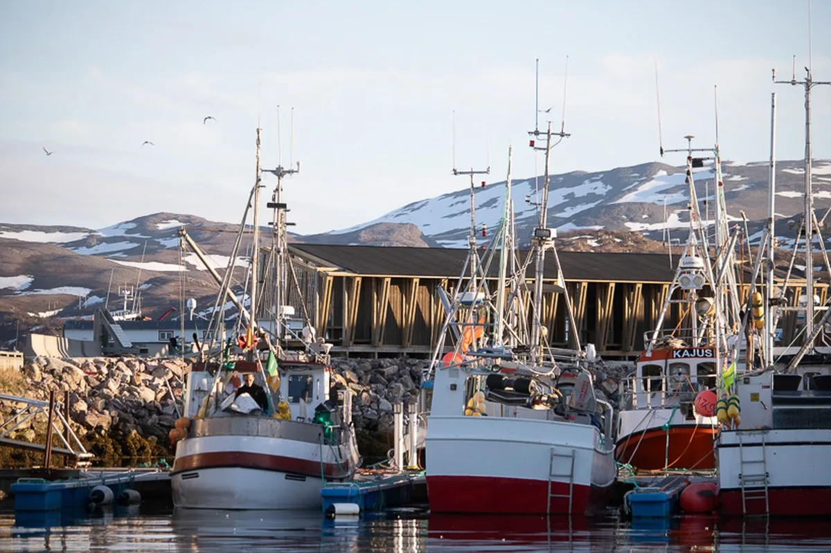 reclaimed timber frames shape skroget coastal sauna and community hub in norway - 2