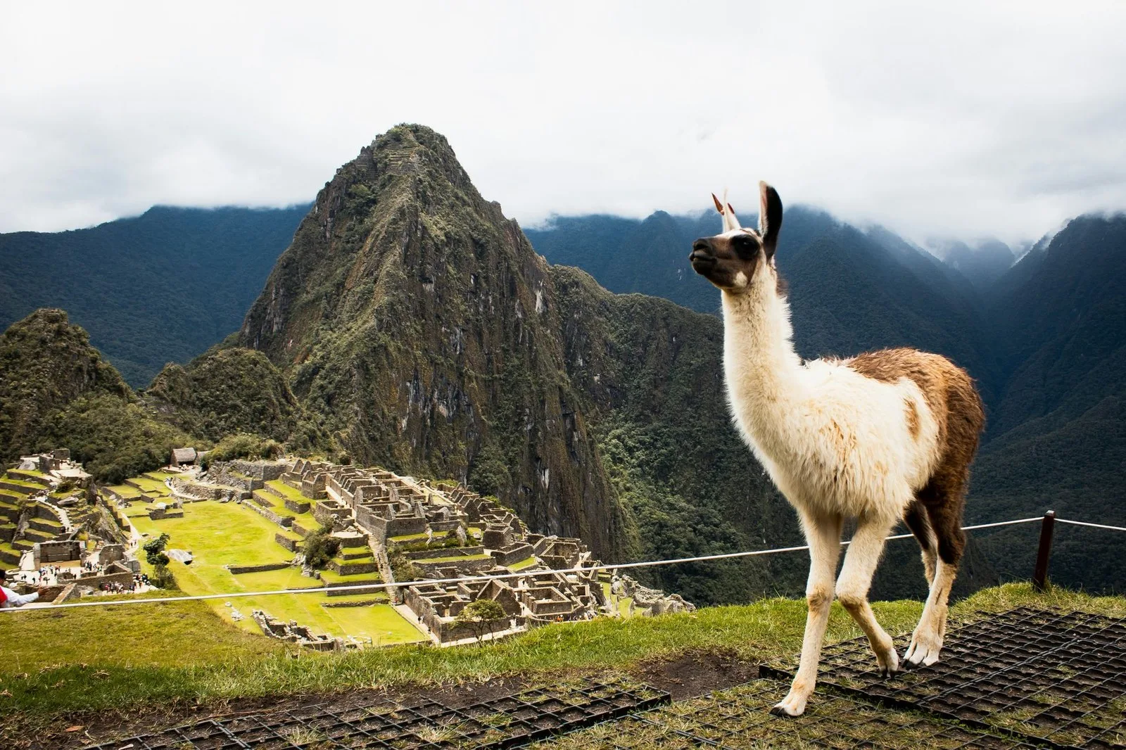 4 unique travel experiences that beat an all-inclusive resort