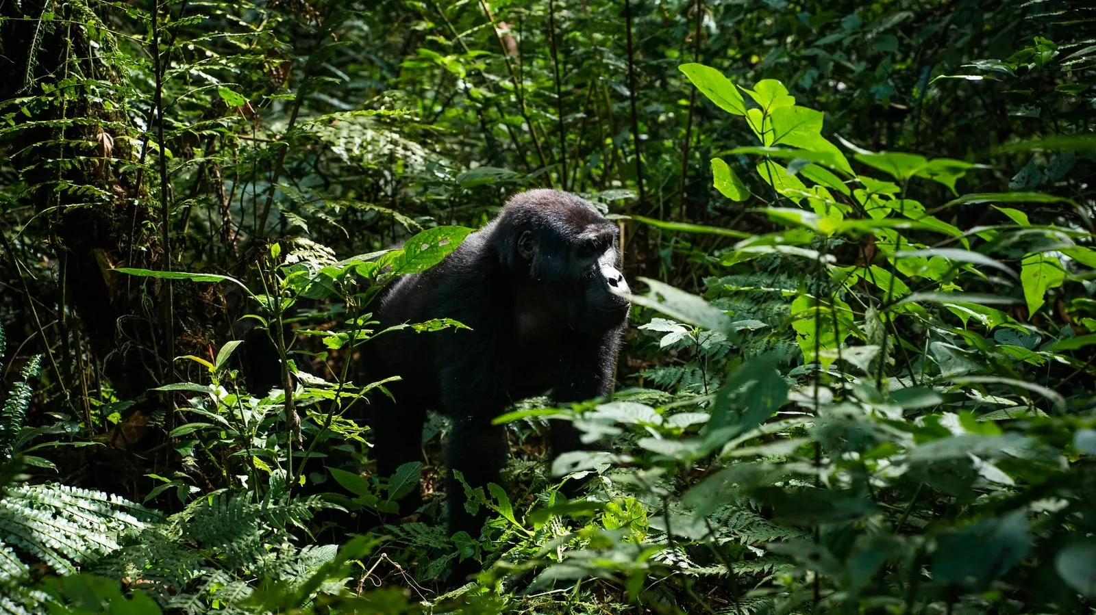 5 bucket list trips that won’t break the bank